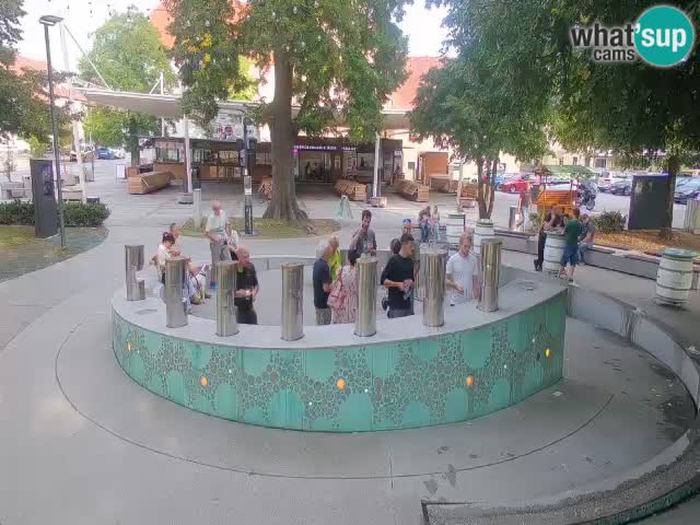 Fontana di birra Webcam – Oro verde – Žalec