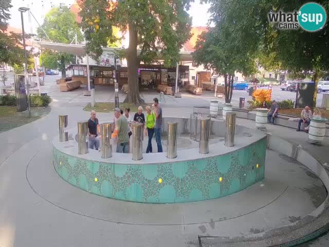 Fontana di birra Webcam – Oro verde – Žalec