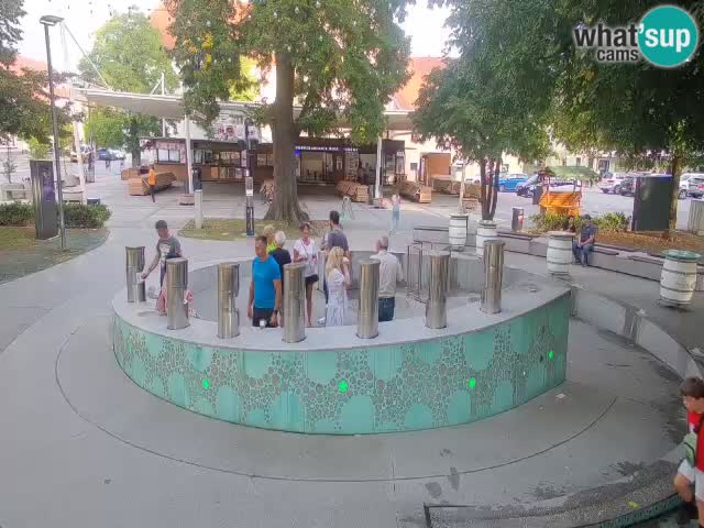 Fontana di birra Webcam – Oro verde – Žalec