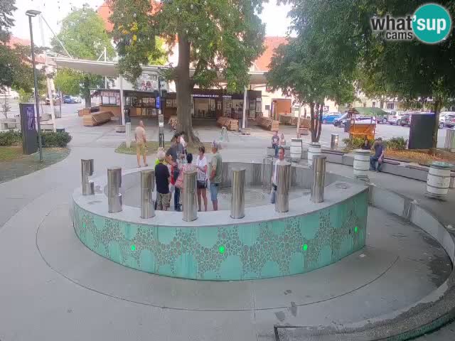 Fontana di birra Webcam – Oro verde – Žalec