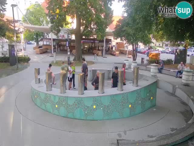 Fontana di birra Webcam – Oro verde – Žalec