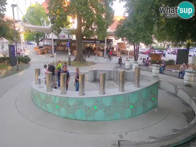 Camera en vivo Fuente de cerveza – Oro verde – Žalec