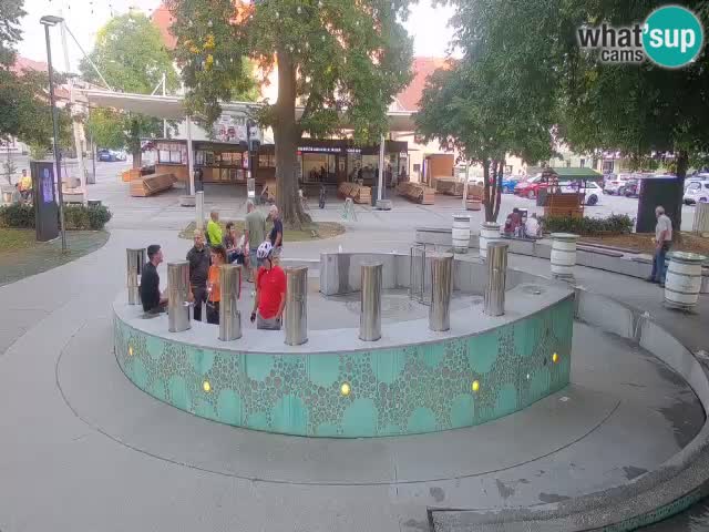 Camera en vivo Fuente de cerveza – Oro verde – Žalec