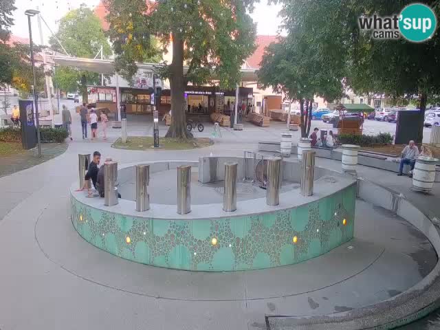 Camera en vivo Fuente de cerveza – Oro verde – Žalec