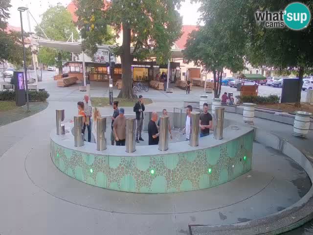 Camera en vivo Fuente de cerveza – Oro verde – Žalec