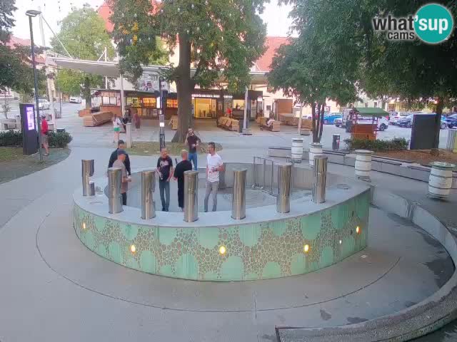 Camera en vivo Fuente de cerveza – Oro verde – Žalec