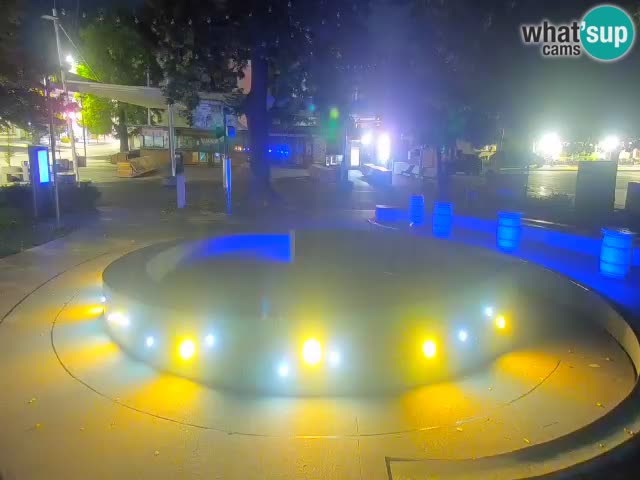 Fontaine à bière LIVE webcam – Or vert – Žalec
