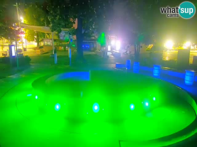 Bier-Springbrunnen Webcam Žalec – Grünen Goldes
