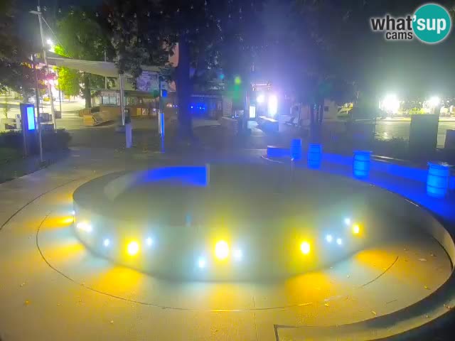 Bier-Springbrunnen Webcam Žalec – Grünen Goldes