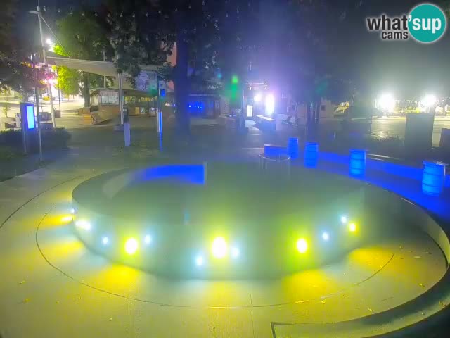 Bier-Springbrunnen Webcam Žalec – Grünen Goldes