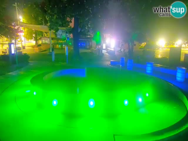 Bier-Springbrunnen Webcam Žalec – Grünen Goldes