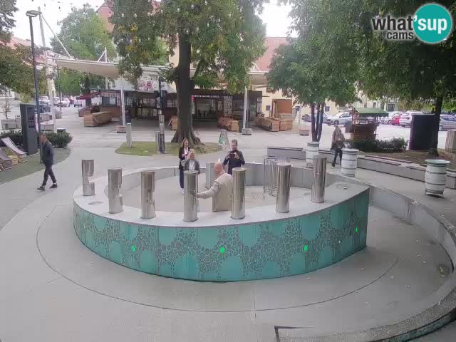 Bier-Springbrunnen Webcam Žalec – Grünen Goldes
