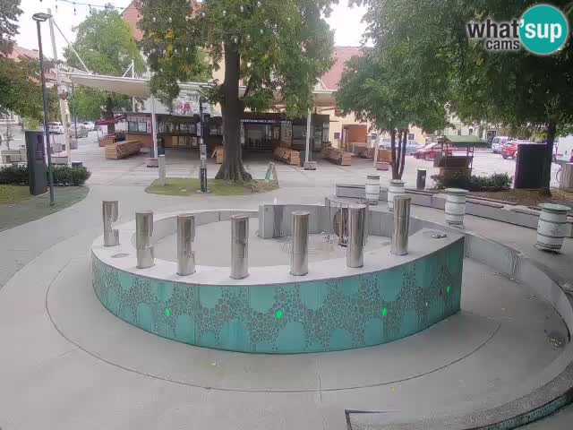 Fontaine à bière LIVE webcam – Or vert – Žalec