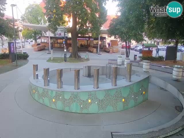 Camera en vivo Fuente de cerveza – Oro verde – Žalec