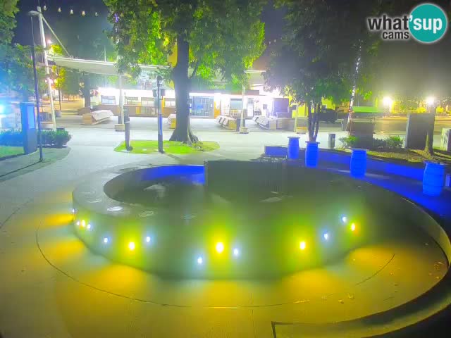 Bier-Springbrunnen Webcam Žalec – Grünen Goldes