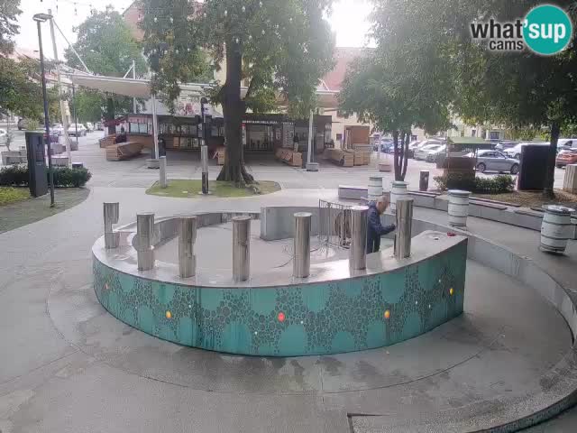 Bier-Springbrunnen Webcam Žalec – Grünen Goldes