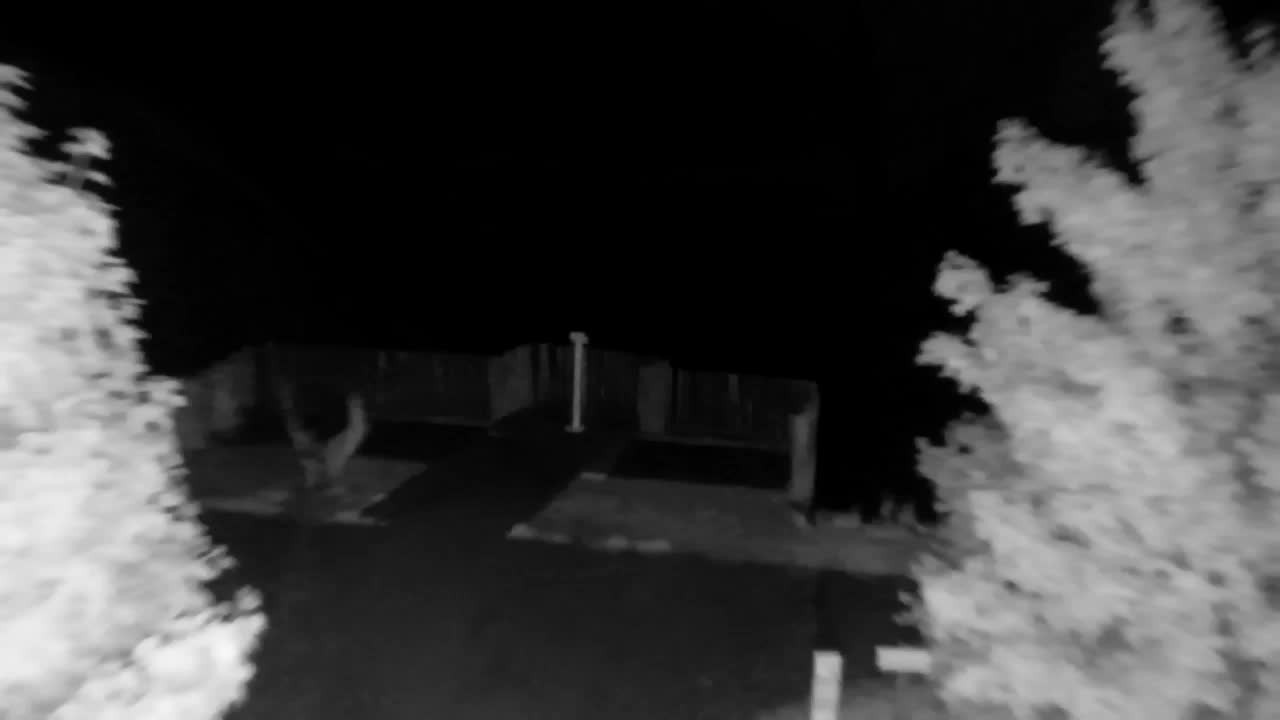 Webcam Ribnik Vrbje – Žalec