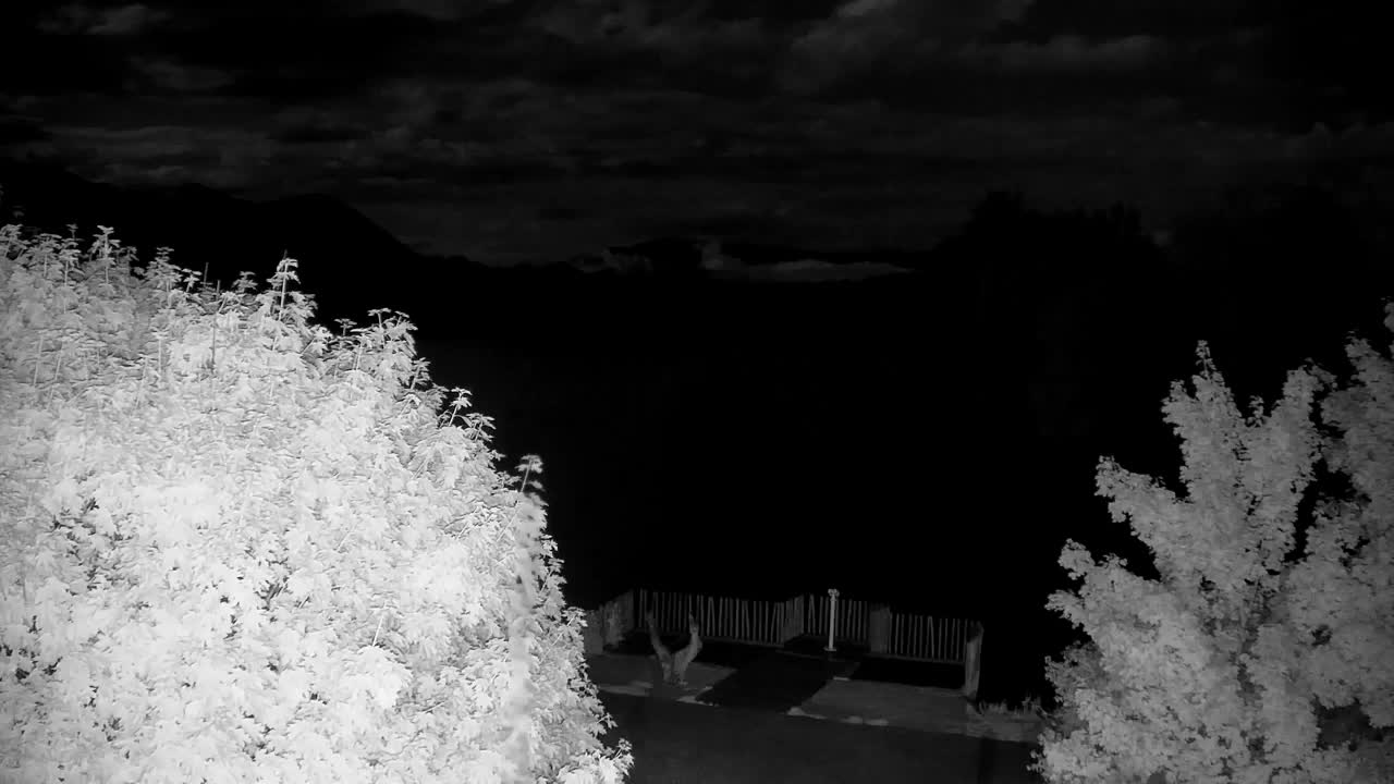 Webcam Ribnik Vrbje – Žalec