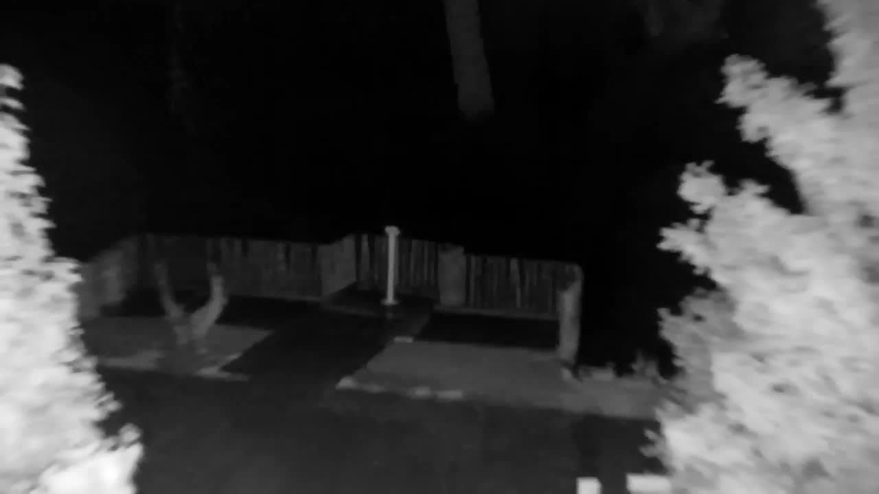 Webcam Ribnik Vrbje – Žalec