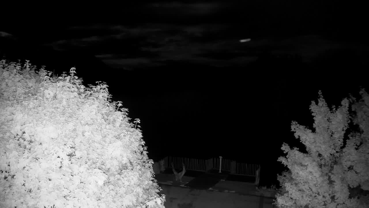 Webcam Ribnik Vrbje – Žalec