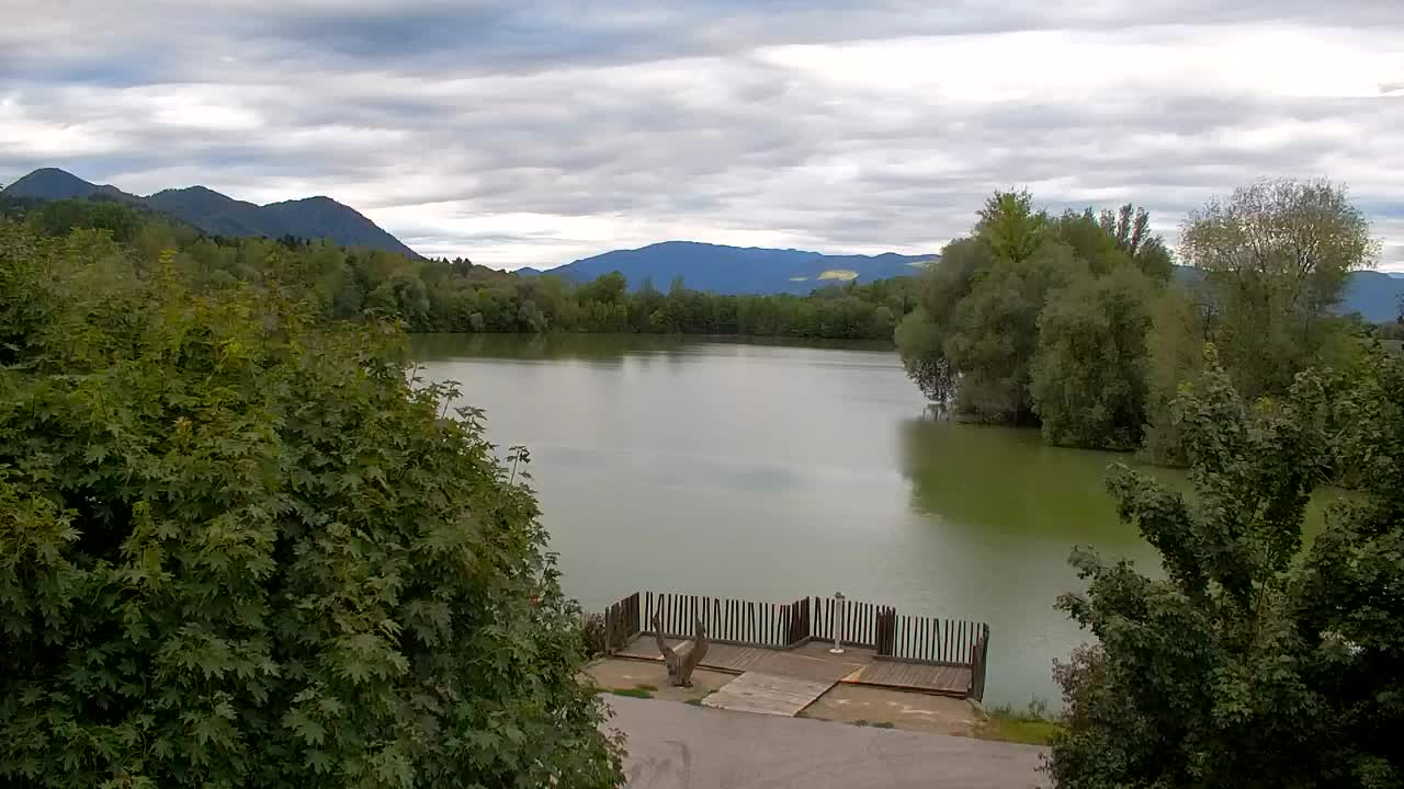 Webcam Ribnik Vrbje – Žalec