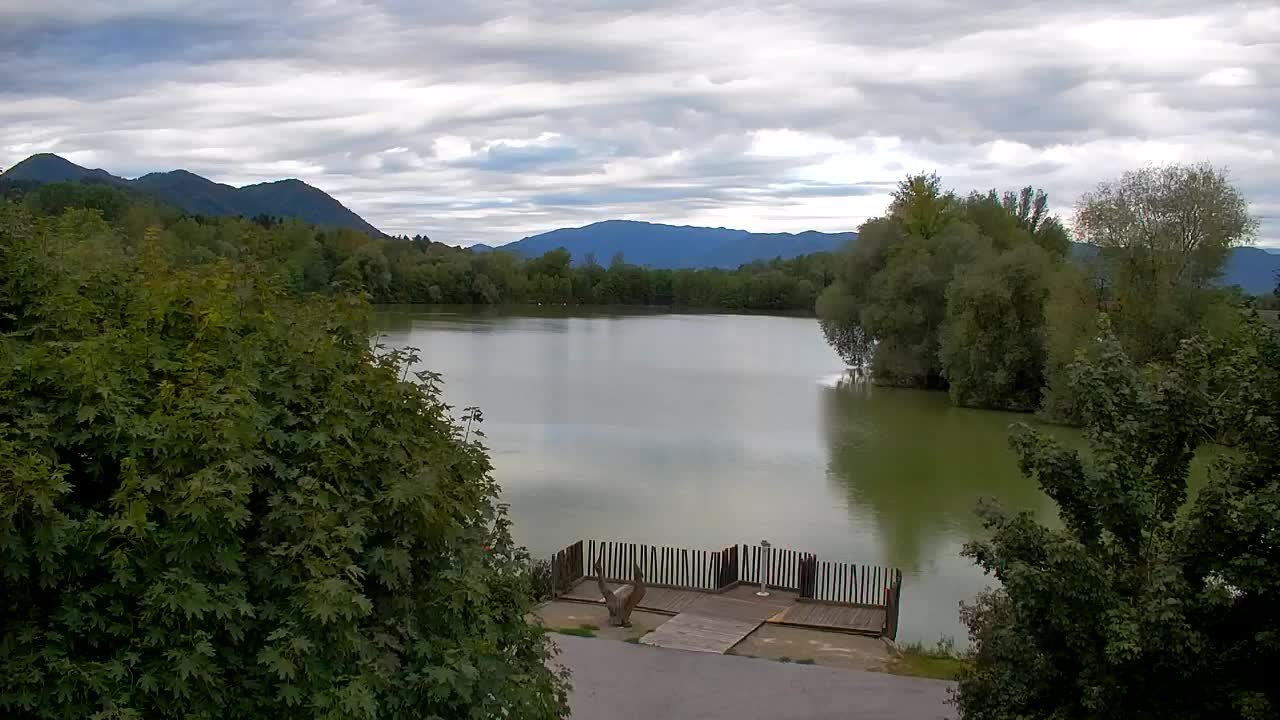Webcam Ribnik Vrbje – Žalec
