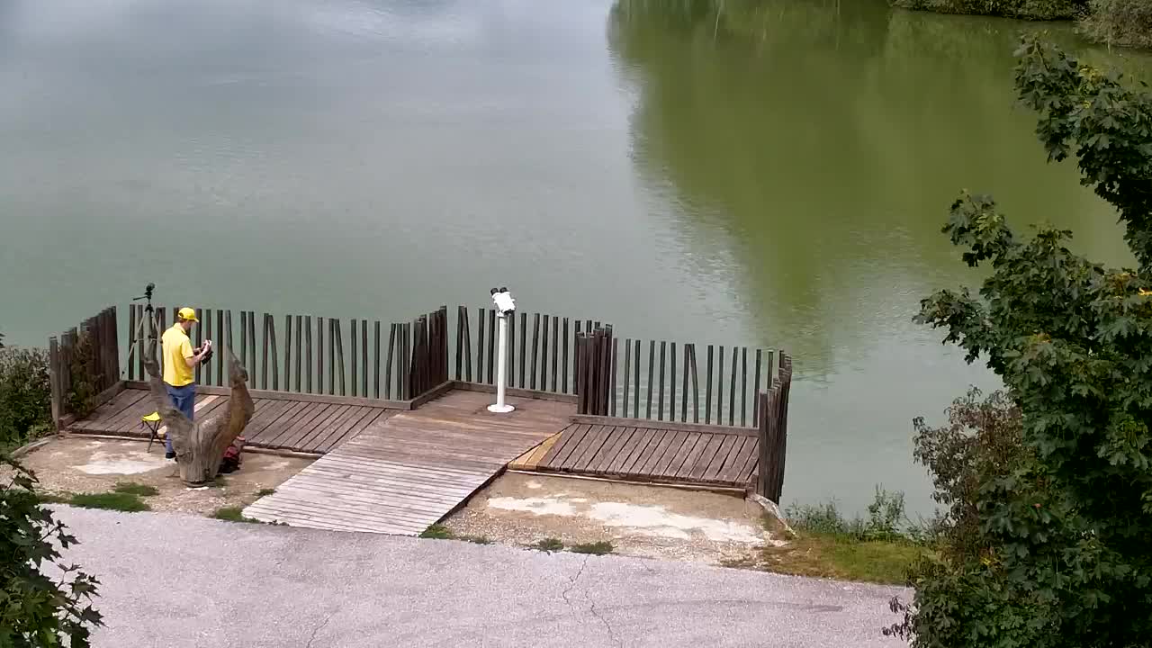 Webcam Ribnik Vrbje – Žalec