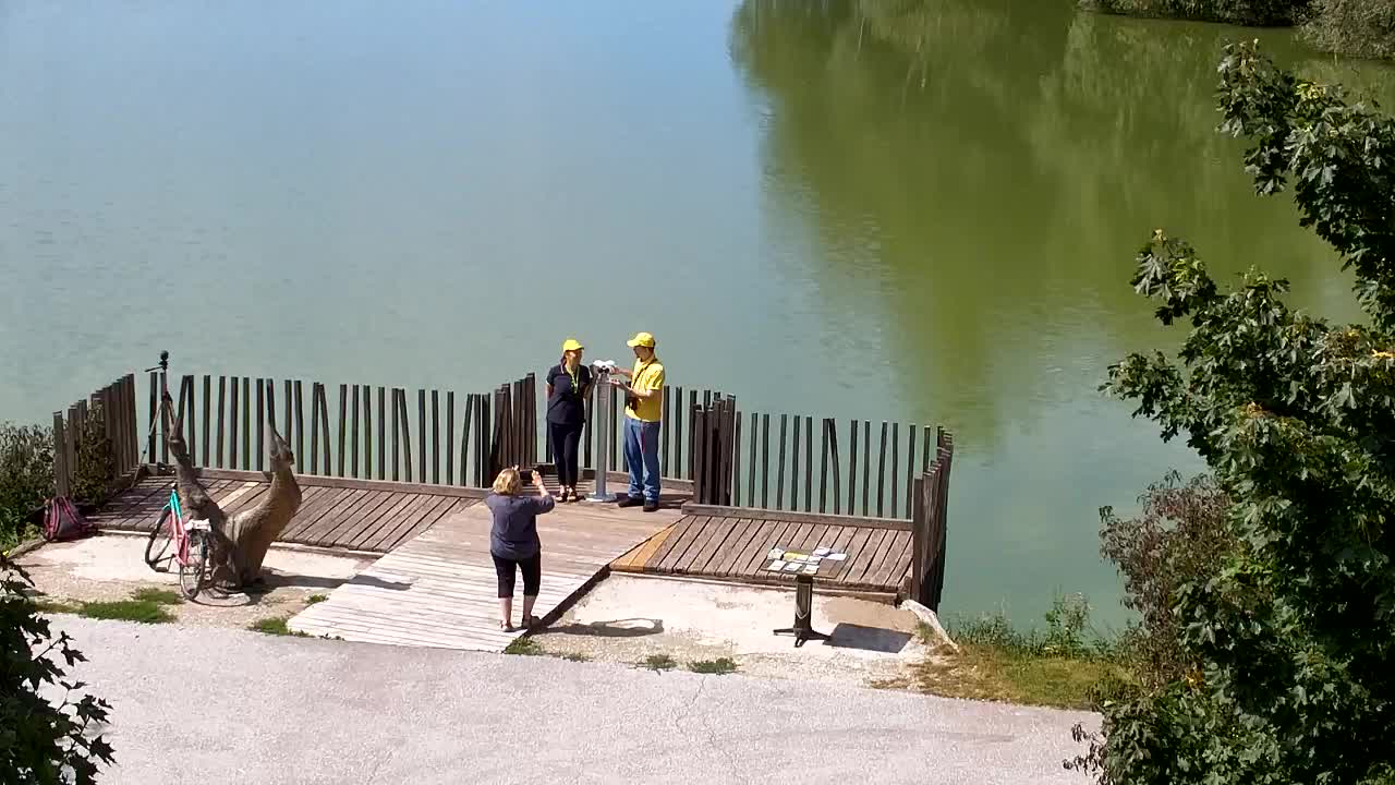 Web kamera Ribnik Vrbje – Žalec