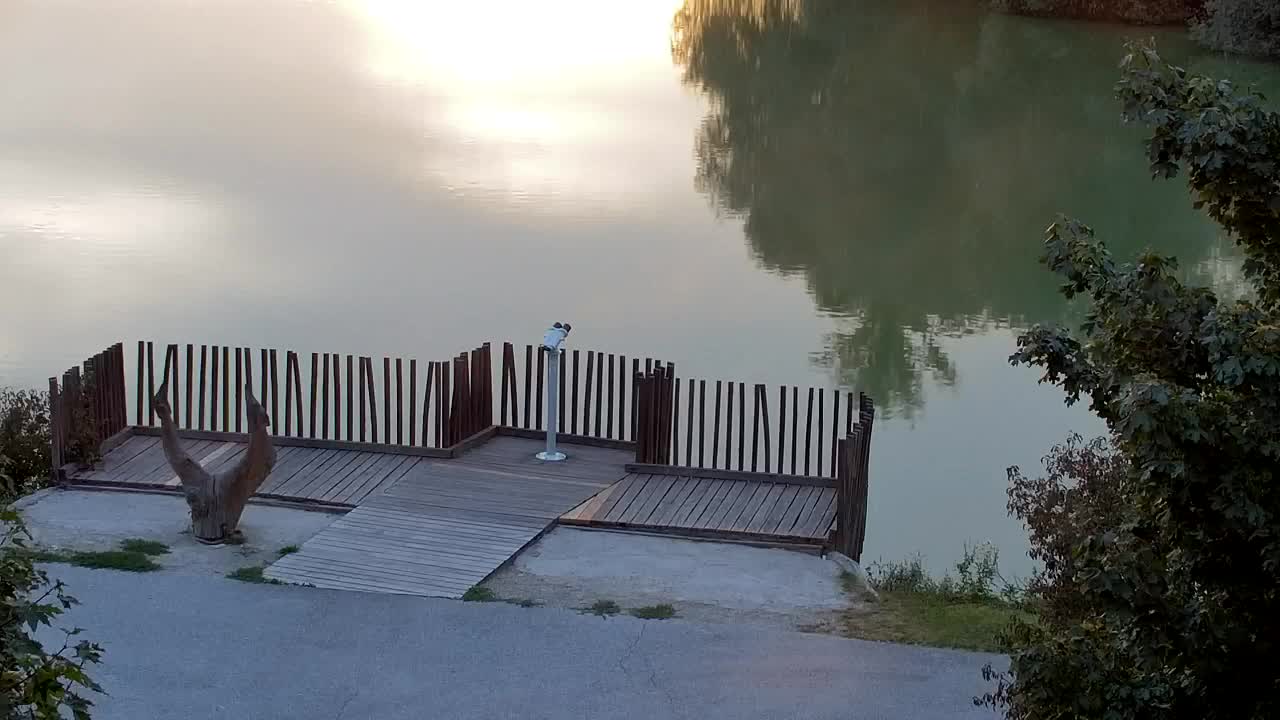 Web kamera Ribnik Vrbje – Žalec