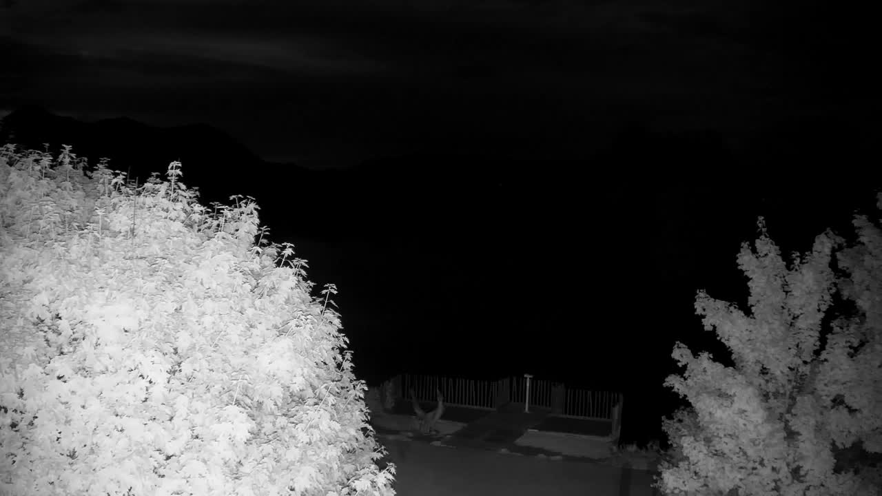 Spletna kamera Ribnik Vrbje – Žalec