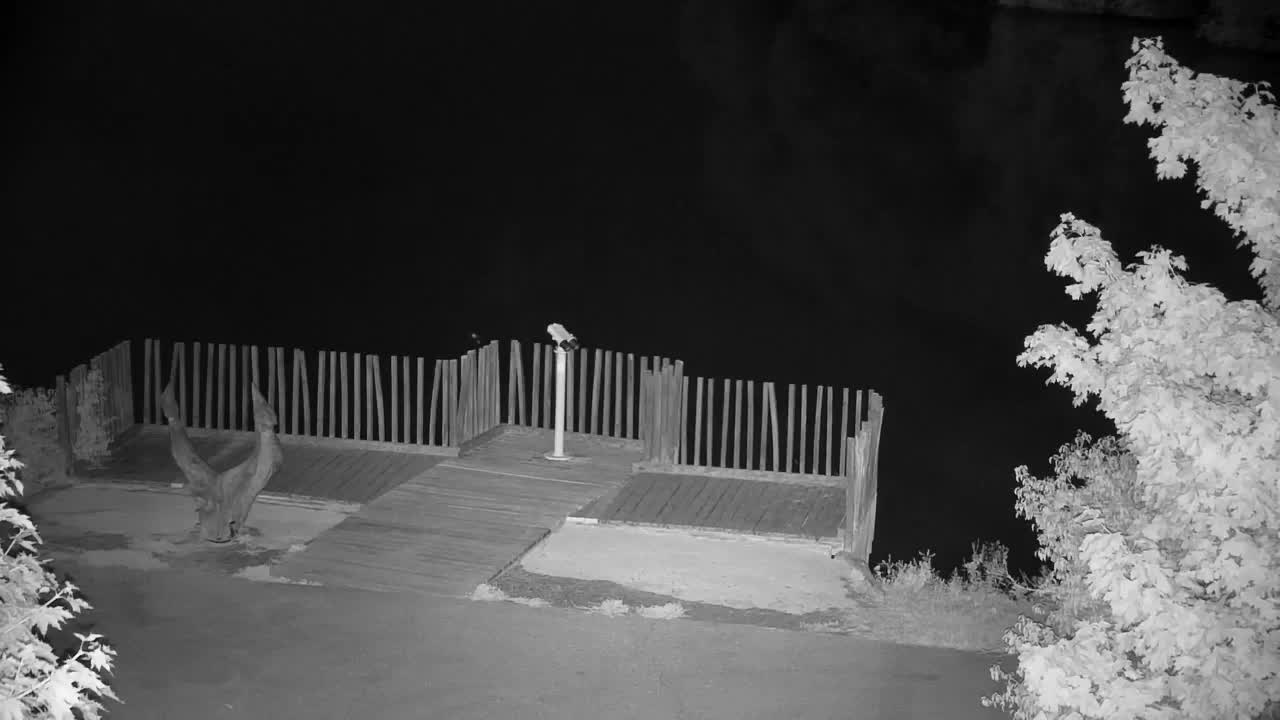 Webcam Ribnik Vrbje – Žalec