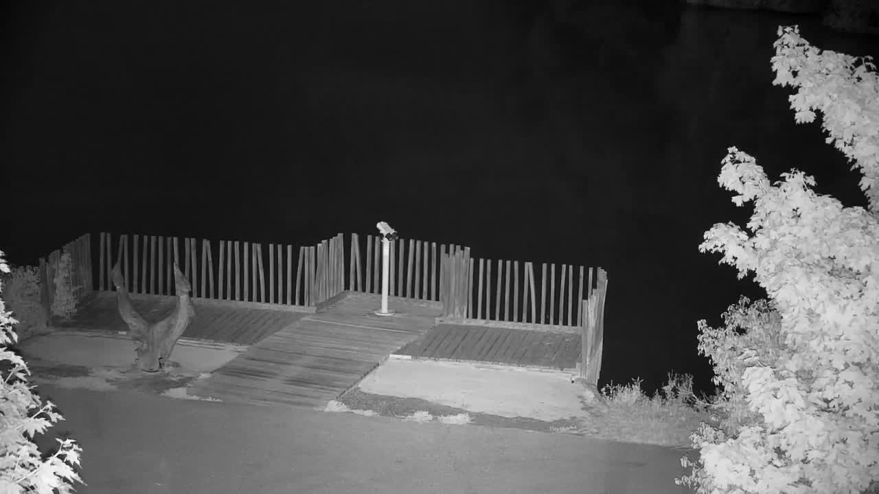Webcam Ribnik Vrbje – Žalec