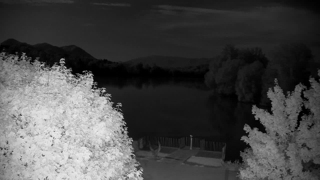 Webcam Ribnik Vrbje – Žalec