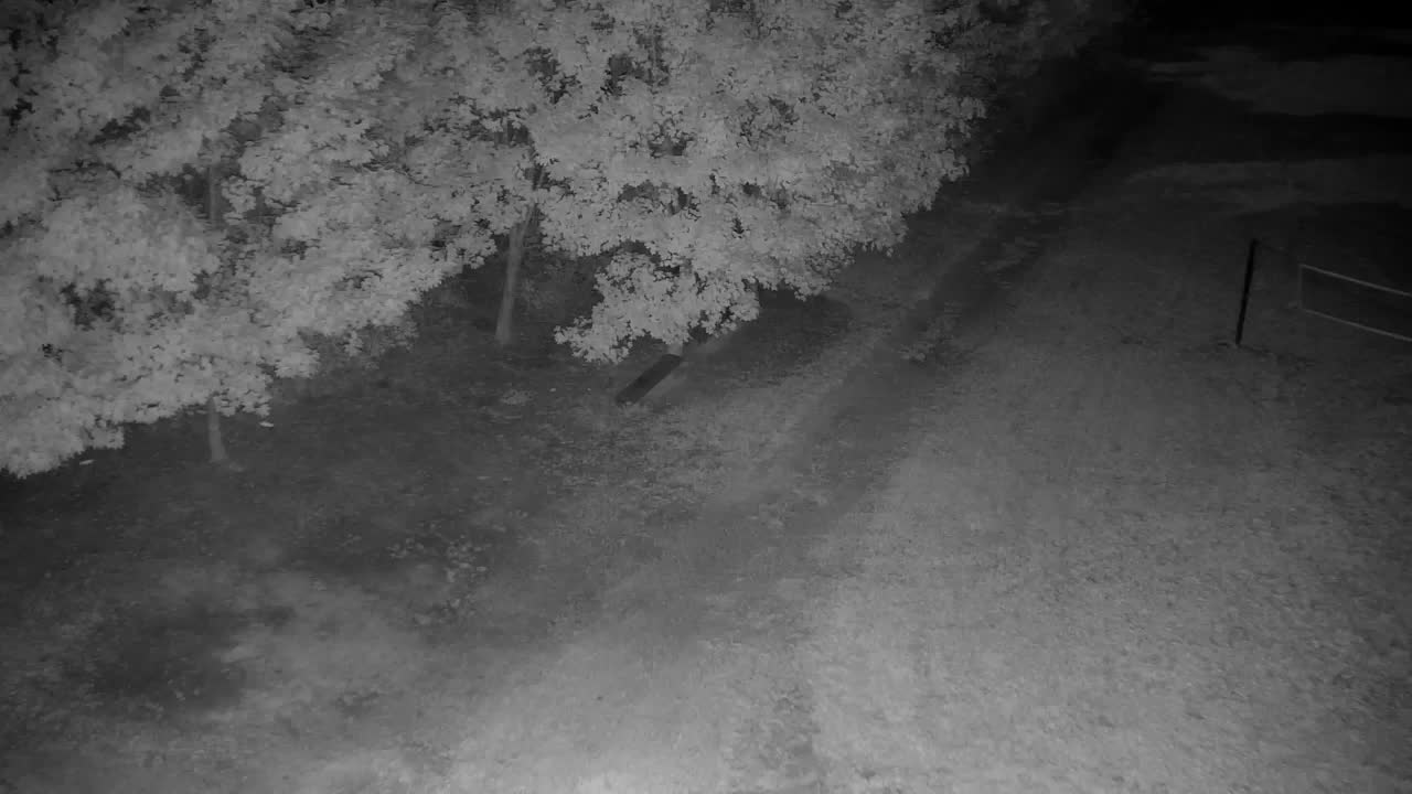 Webcam Ribnik Vrbje – Žalec