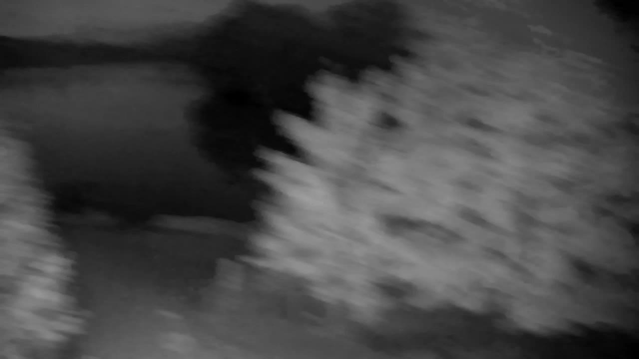 Webcam Ribnik Vrbje – Žalec