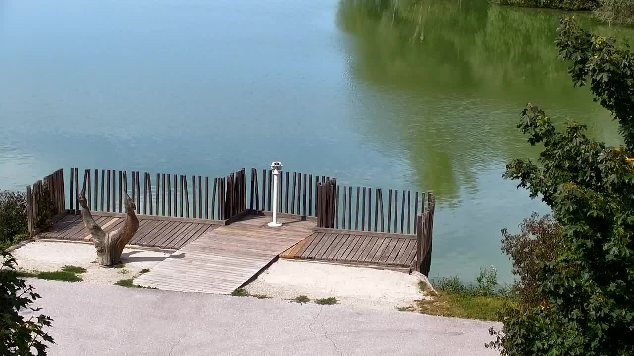 Webcam Ribnik Vrbje – Žalec