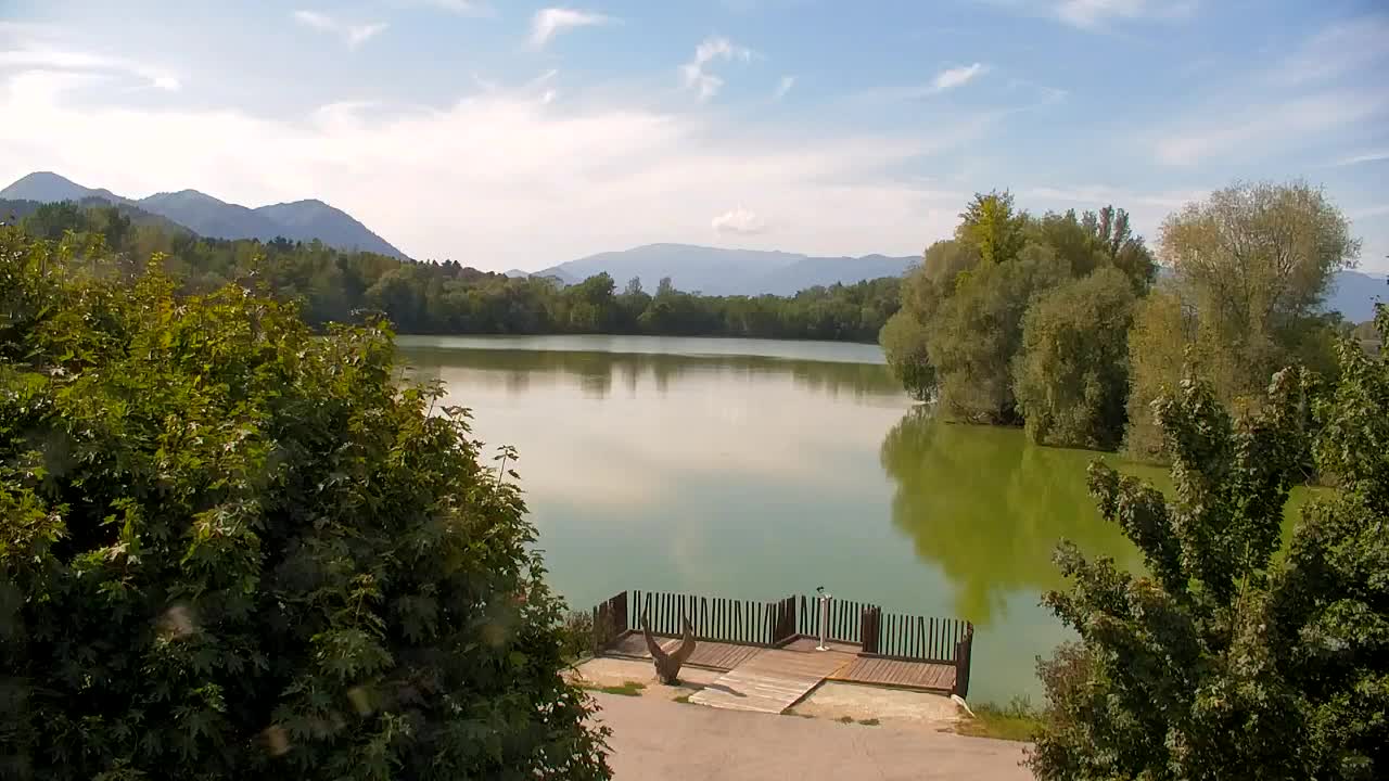 Web kamera Ribnik Vrbje – Žalec
