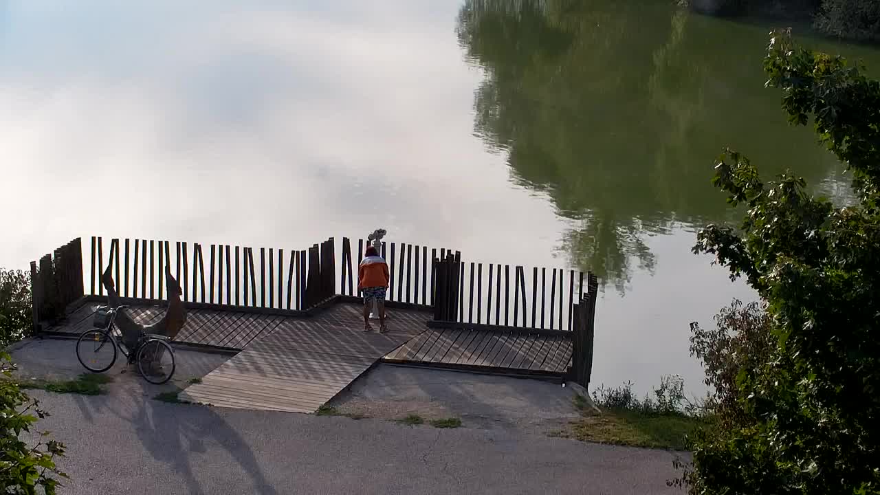 Webcam Ribnik Vrbje – Žalec