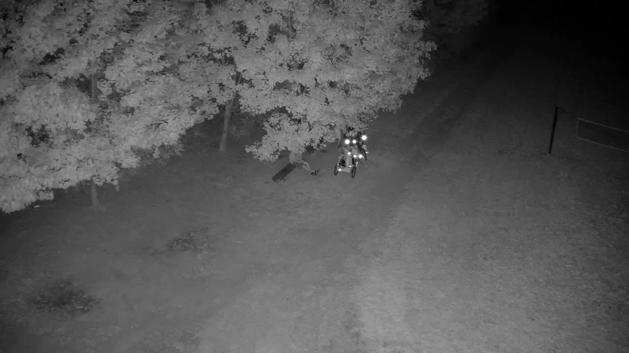 Webcam Ribnik Vrbje – Žalec