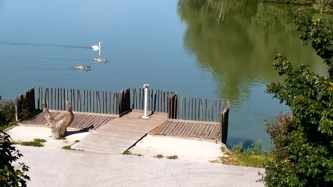 Webcam Ribnik Vrbje – Žalec