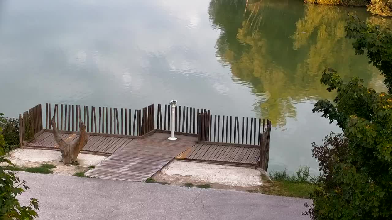 Webcam Ribnik Vrbje – Žalec