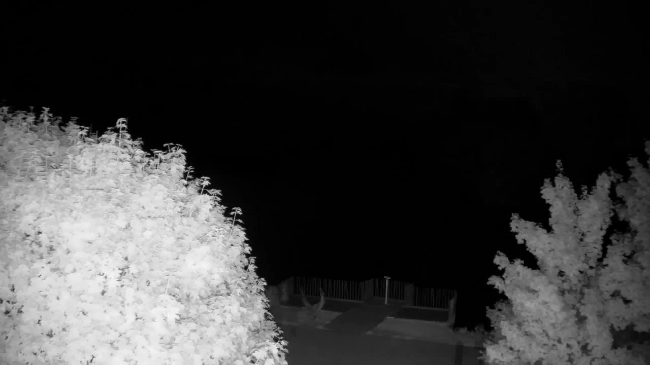 Webcam Ribnik Vrbje – Žalec