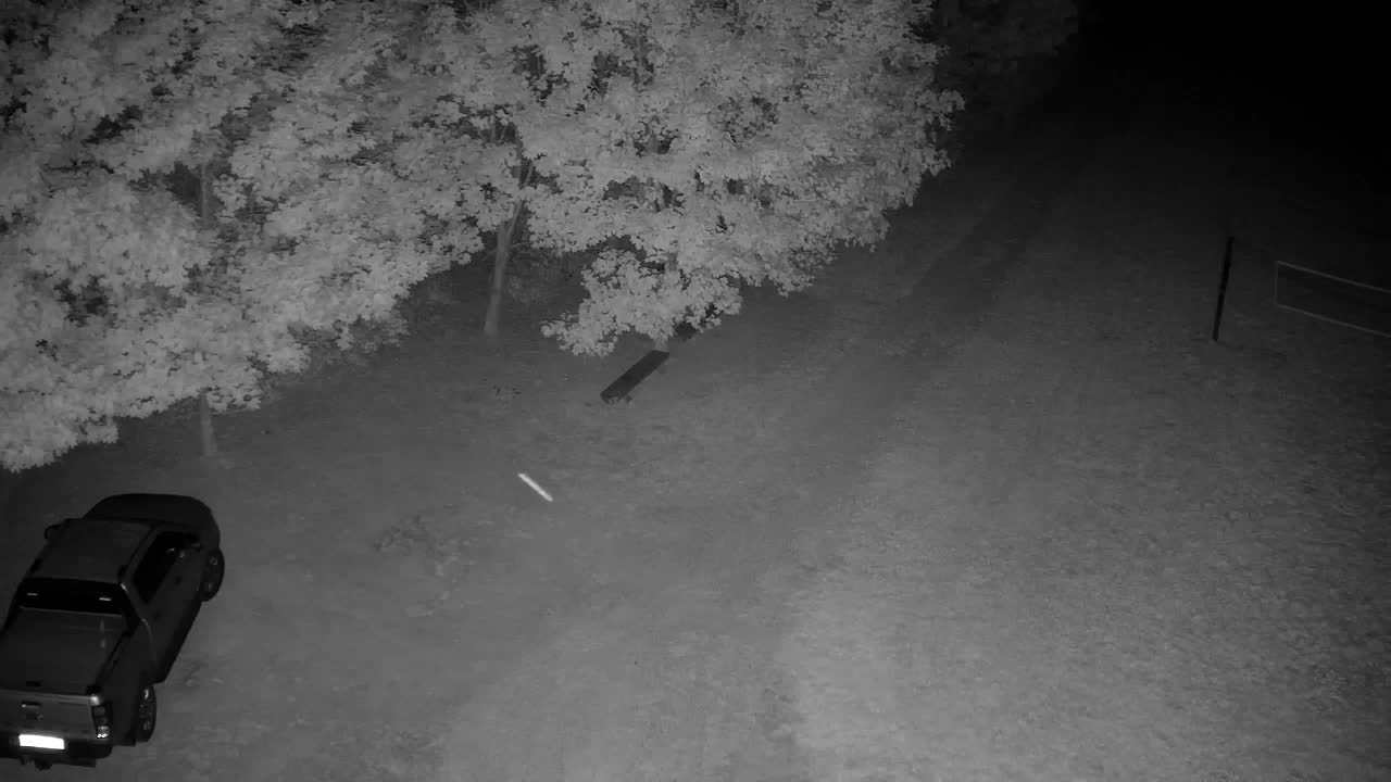 Webcam Ribnik Vrbje – Žalec