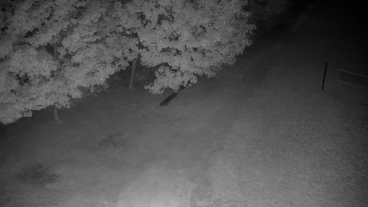 Webcam Ribnik Vrbje – Žalec
