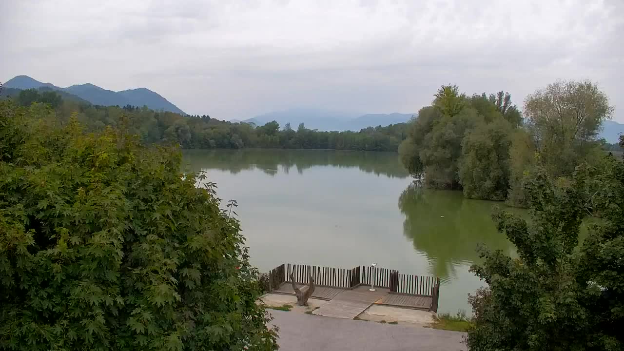 Spletna kamera Ribnik Vrbje – Žalec