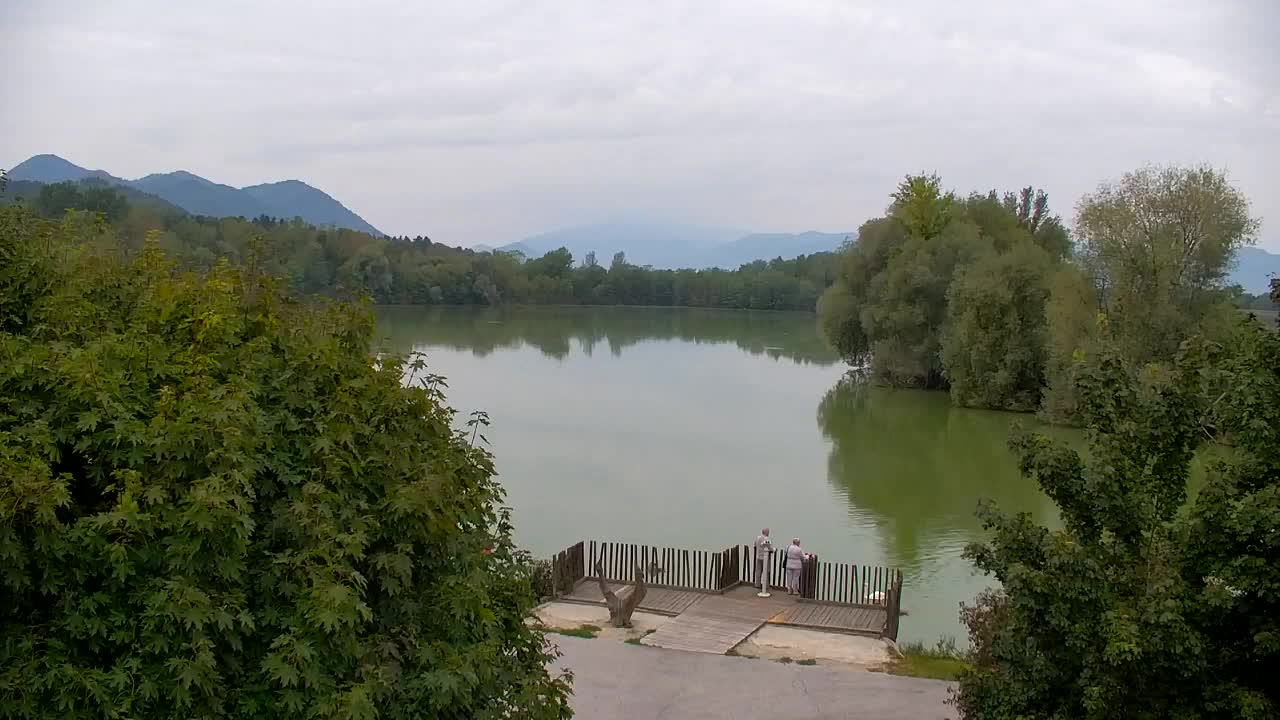 Webcam Ribnik Vrbje – Žalec