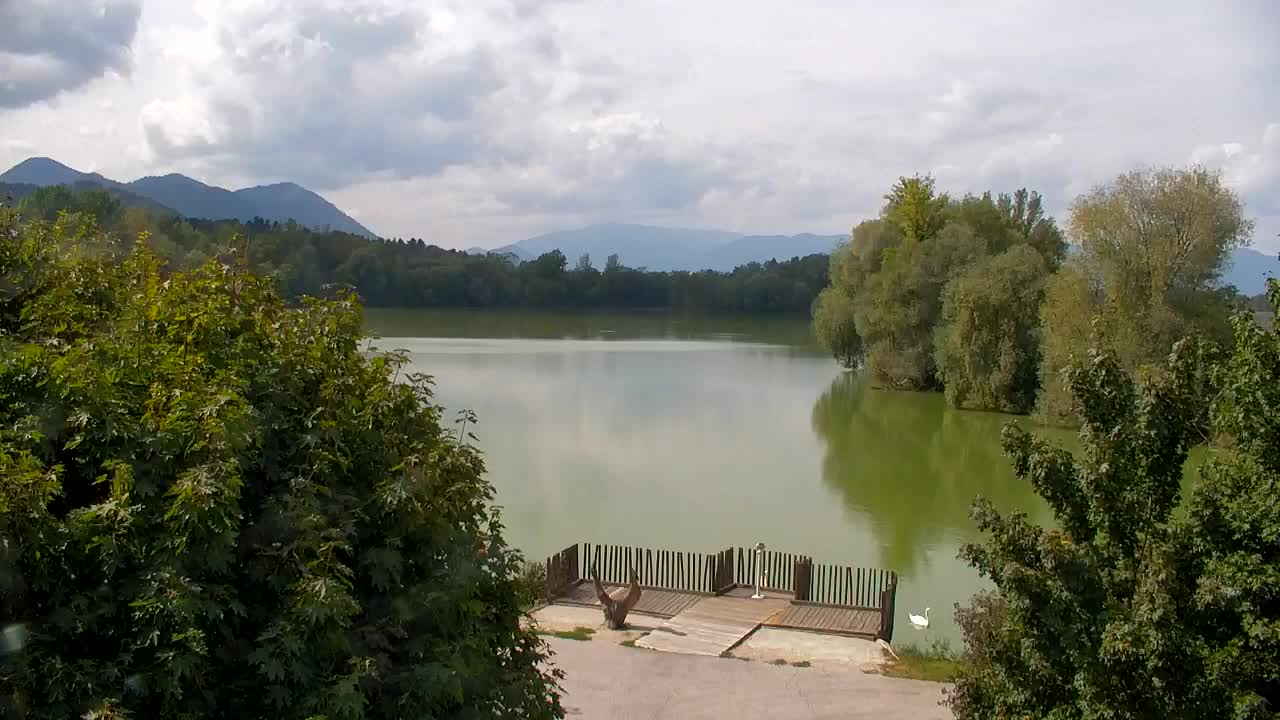 Webcam Ribnik Vrbje – Žalec