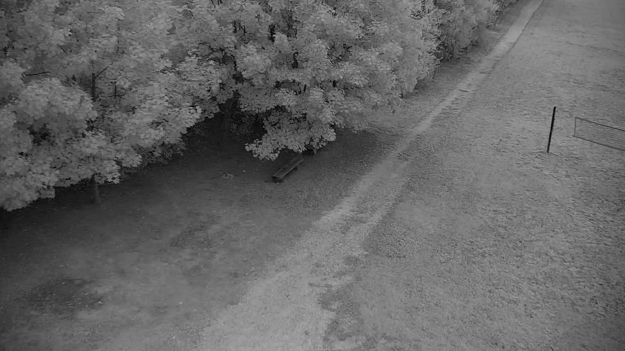 Webcam Ribnik Vrbje – Žalec
