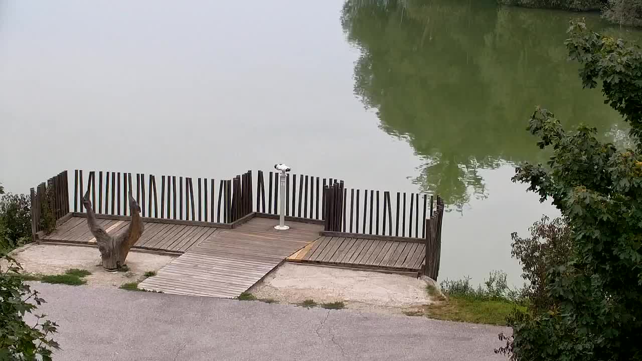 Webcam Ribnik Vrbje – Žalec