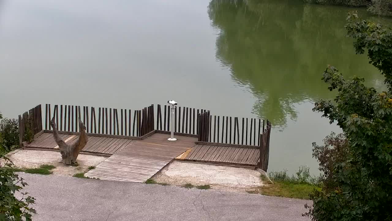 Webcam Ribnik Vrbje – Žalec